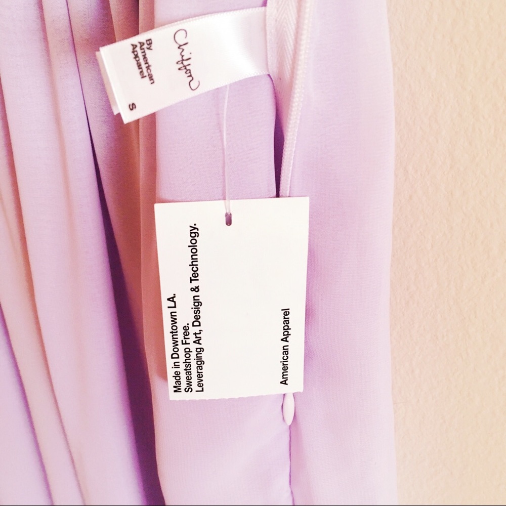 NWT American Apparel Lavender Lace Dress Chiffon S - Picture 5 of 6